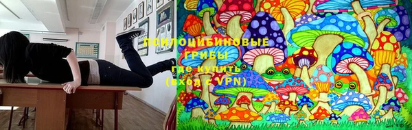 каннабис Абаза